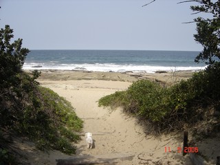 PATH TO BEACH